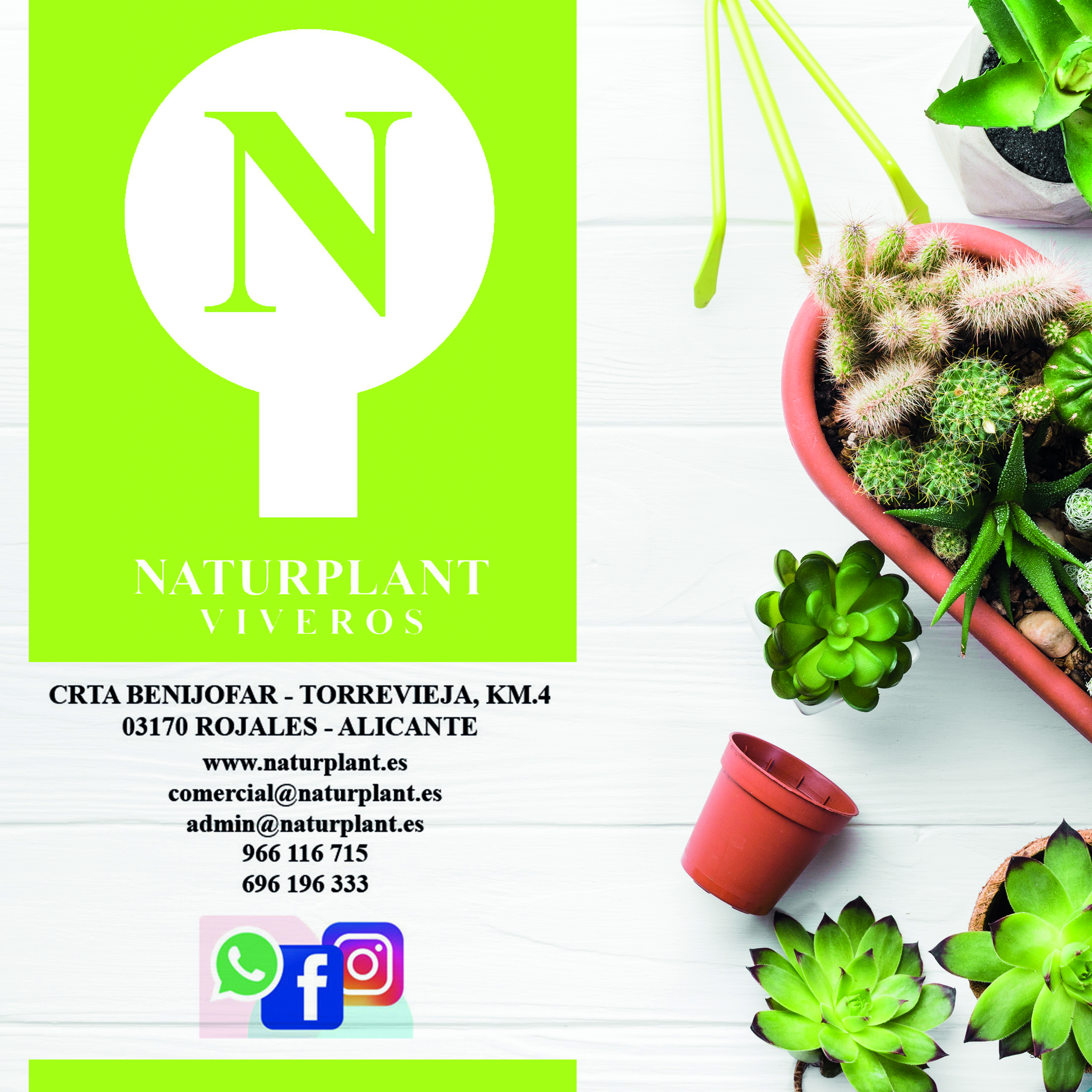 NATURPLANT VIVEROS